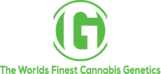 Canna Genetics Bank Cannabis Seeds | Marketing Kings